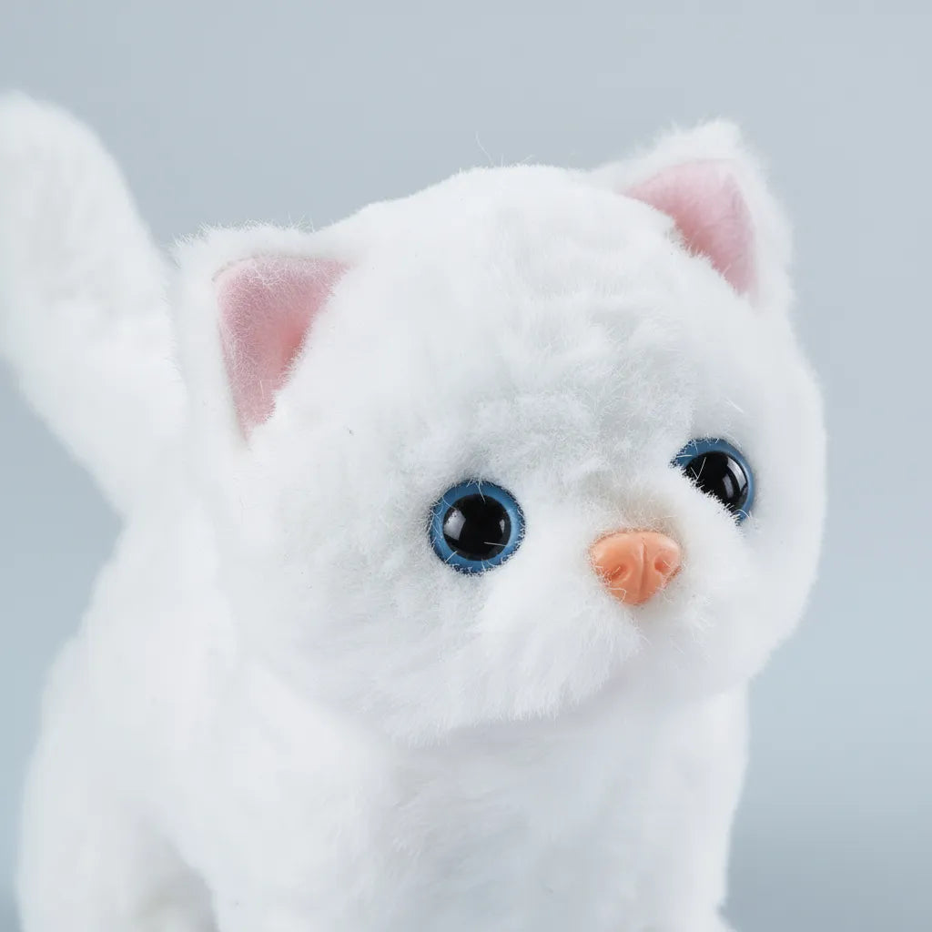 SET DE TRANSPORTE EAILA PET GATO