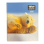 Pack 10 Cuadernos universitario Balotoys 7mm 100 Hojas