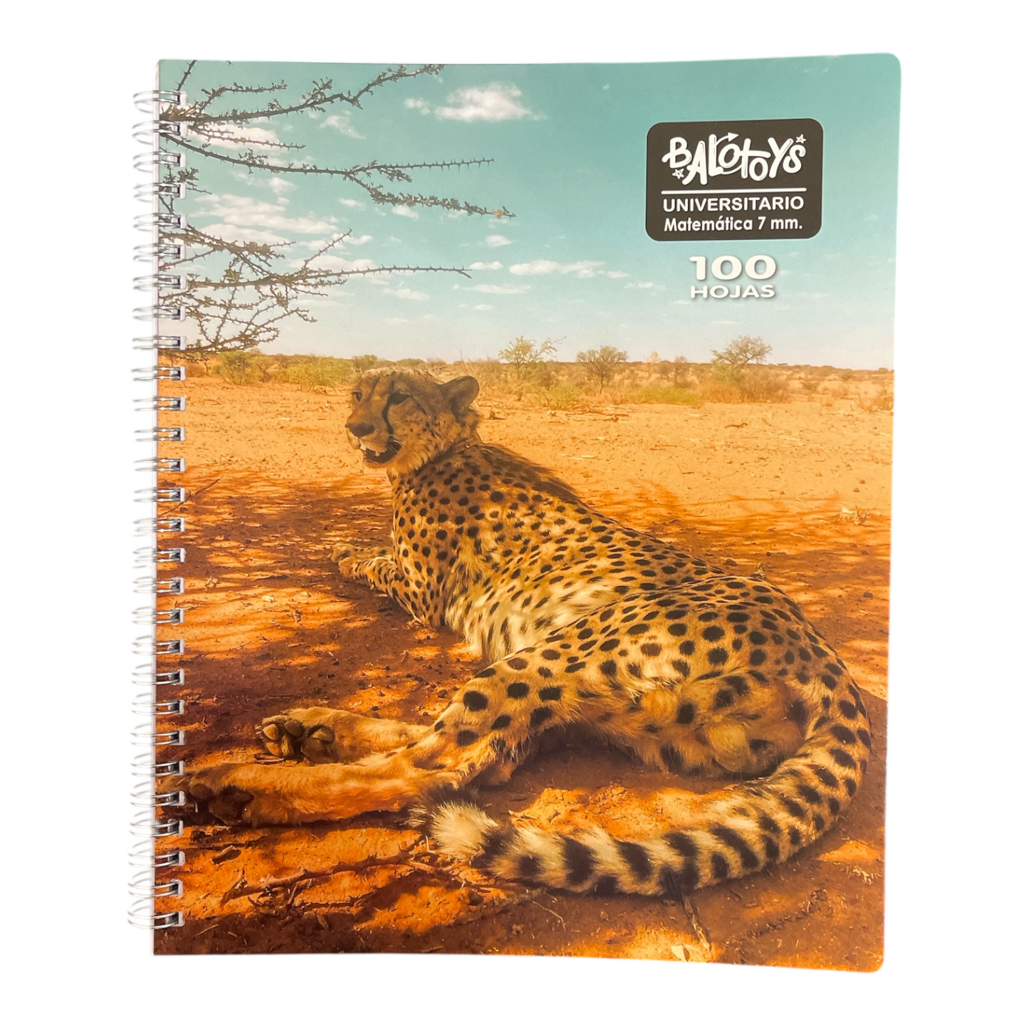 Pack 10 Cuadernos universitario Balotoys 7mm 100 Hojas