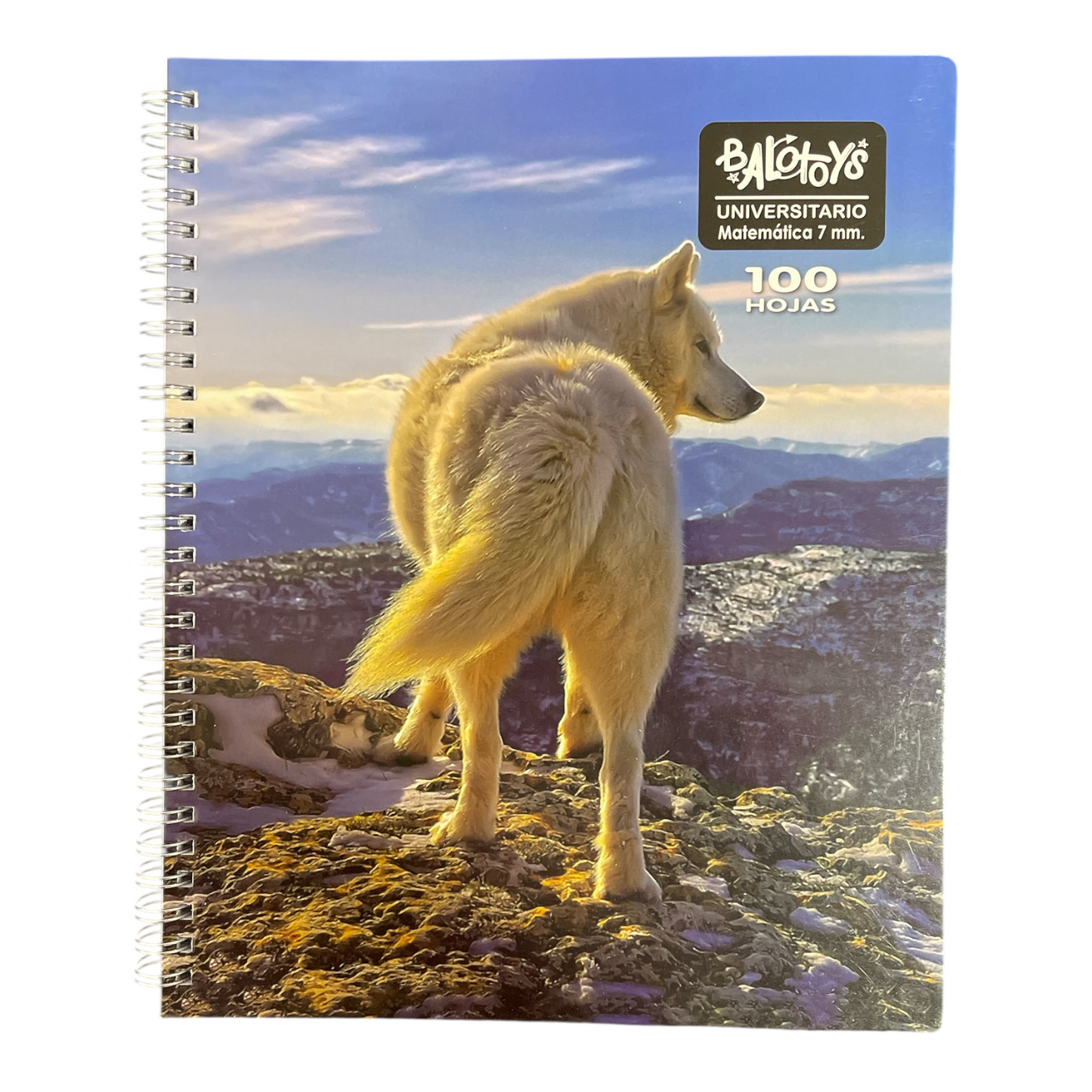 Pack 10 Cuadernos universitario Balotoys 7mm 100 Hojas