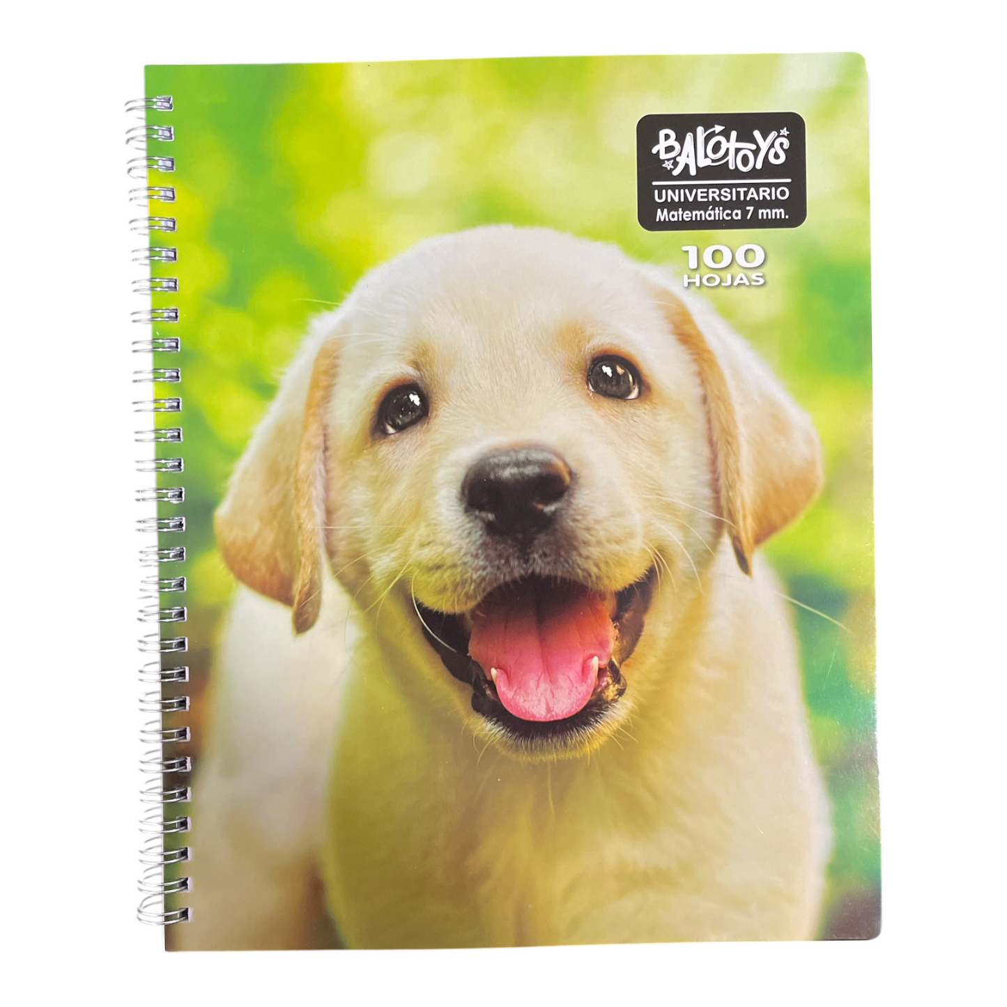 Pack 10 Cuadernos universitario Balotoys 7mm 100 Hojas