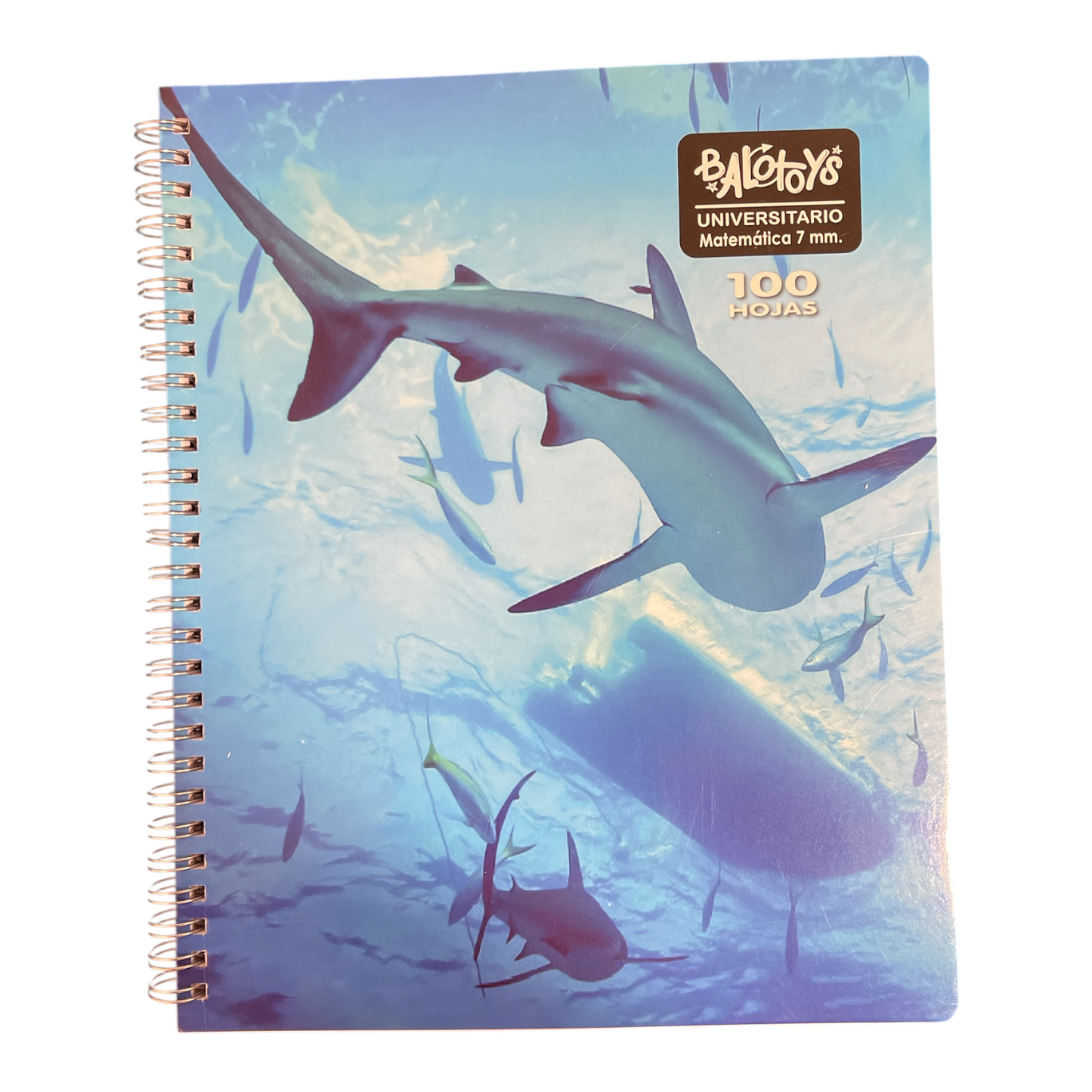 Pack 10 Cuadernos universitario Balotoys 7mm 100 Hojas